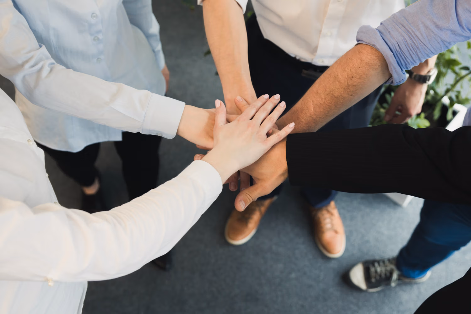 Foundation Leadership